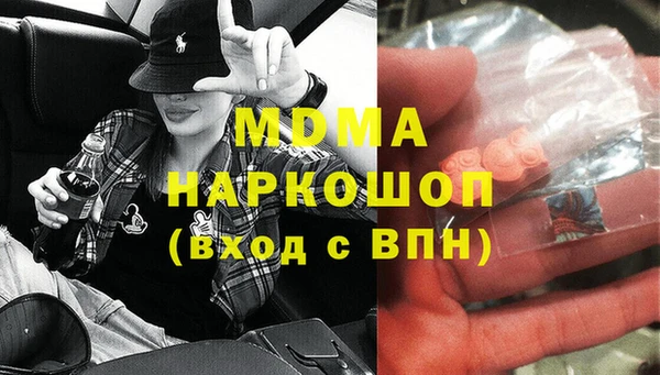 стаф Бородино