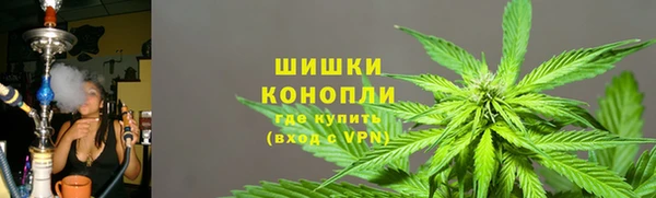 стаф Бородино