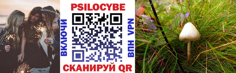 Галлюциногенные грибы мицелий Среднеуральск