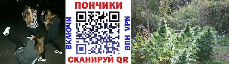 Шишки марихуана конопля закладки Среднеуральск